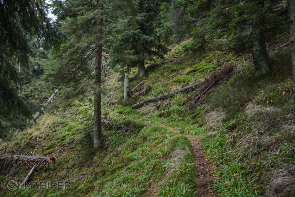 20191117_10-30-12_1-45s_F3,5_ISO 200_18 _043.jpg