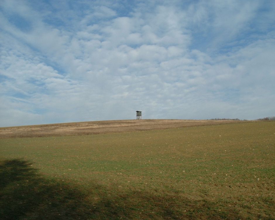 010_posed na kraji lesa_Edelstal.JPG