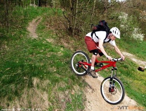 D I J C K dropin.jpg