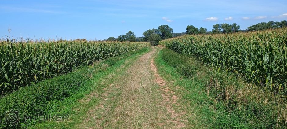 red- kukurica highway.jpg