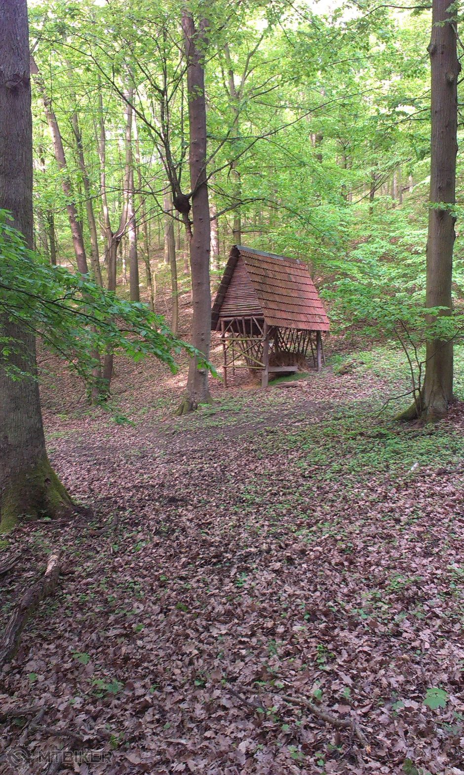 2014-04-27 16.29.45.jpg