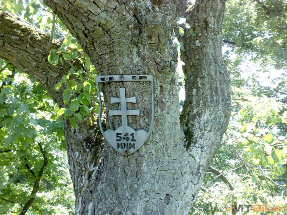 4. Michalov vrch.jpg