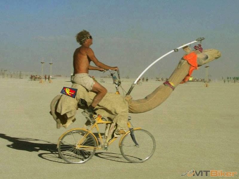 sahara-bike.jpg