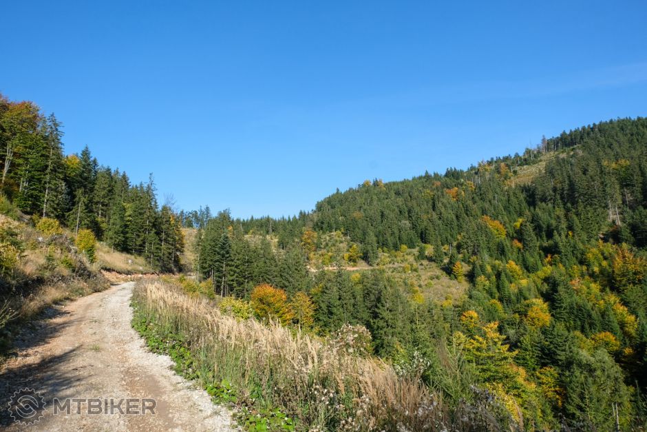 20211002_15-57-07_1-640s_F5,6_ISO 200_24_2914.jpg