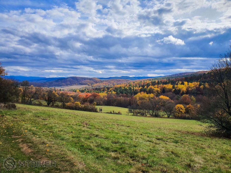 20241031_123202 (1)_11zon.jpg