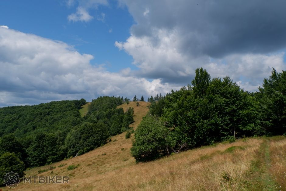 20190804_11-27-55_1-400 sec at f - 13_ISO 400_24 mm_CRGV7667.jpg