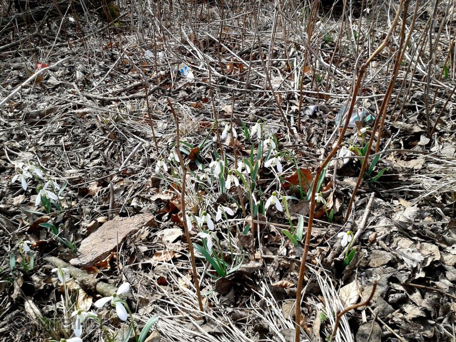 2014-03-23 14.29.58.jpg