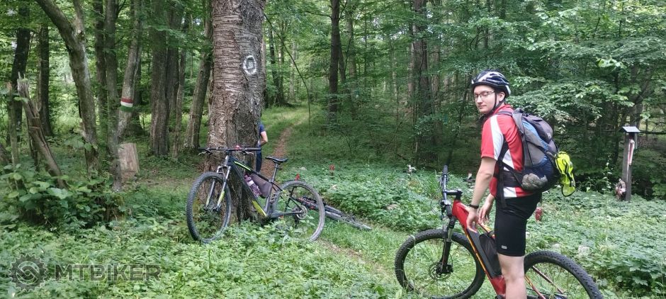 zo sorozky červenou.jpg