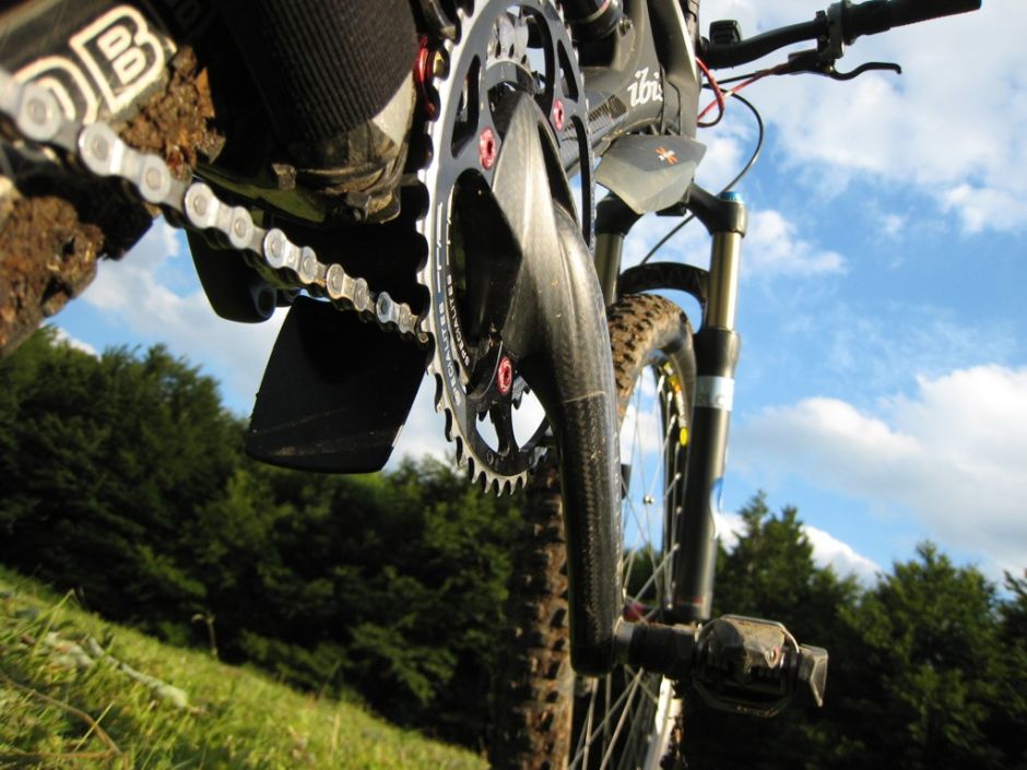 Ibis with Clavs_from bottom.jpg