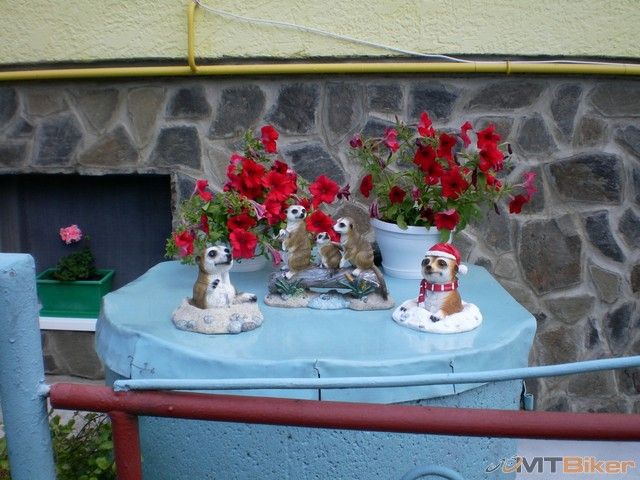 v havaji za potravinami.jpg