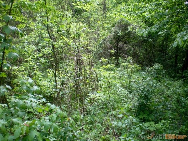 zamotal som sa do lian...ja aj bike.jpg