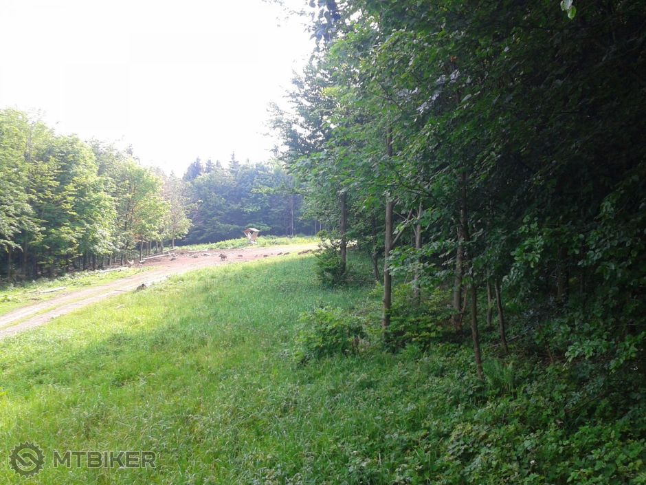 2015-06-14 16.31.28.jpg