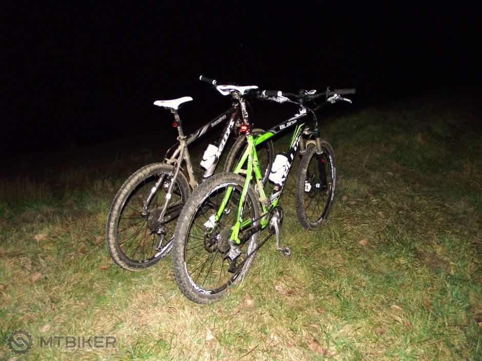 The KELLYS Family.JPG