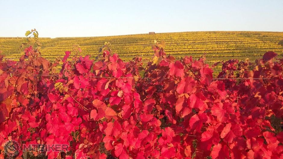 BAYNACH MTB MARATHON_Alibernet.jpg