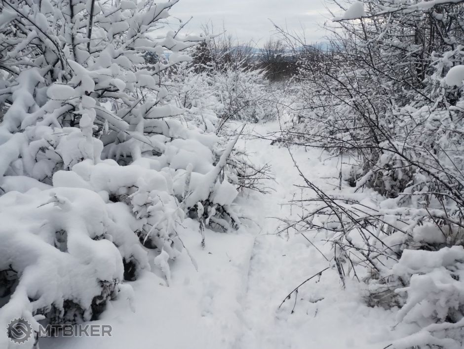 IMG_20251122_081044596 – kópia.jpg