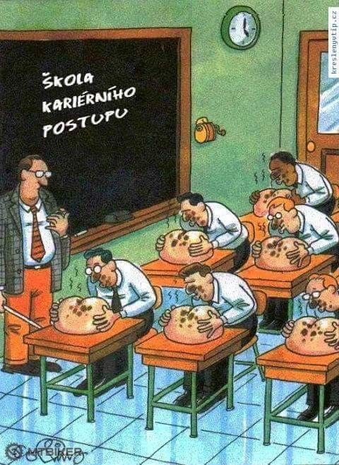 kariera.jpg