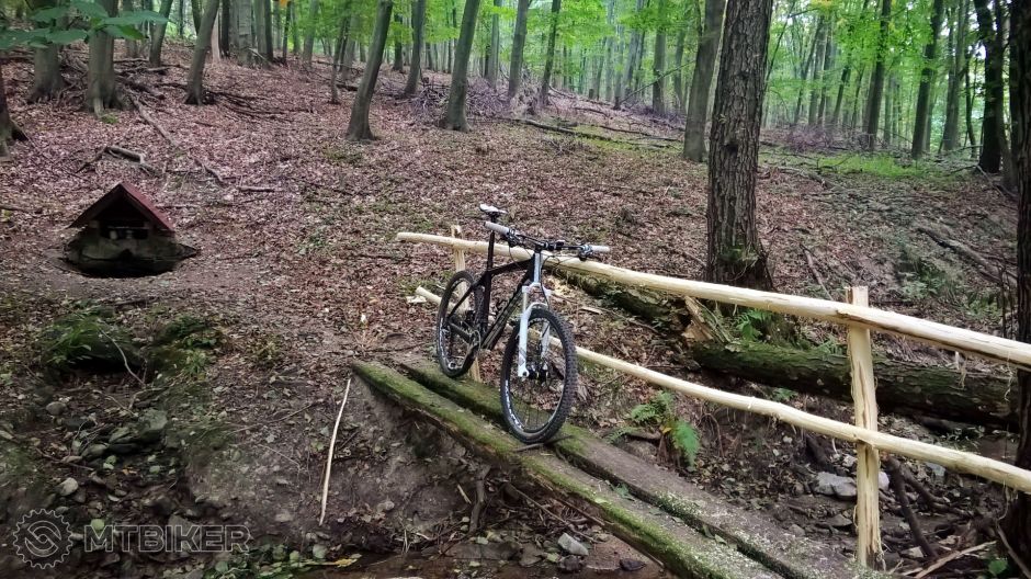 WP_20181007_16_49_52_Rich (2).jpg