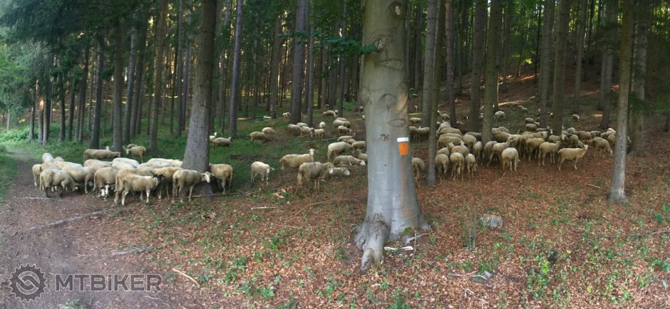 IMG_5631 (kópia).JPG