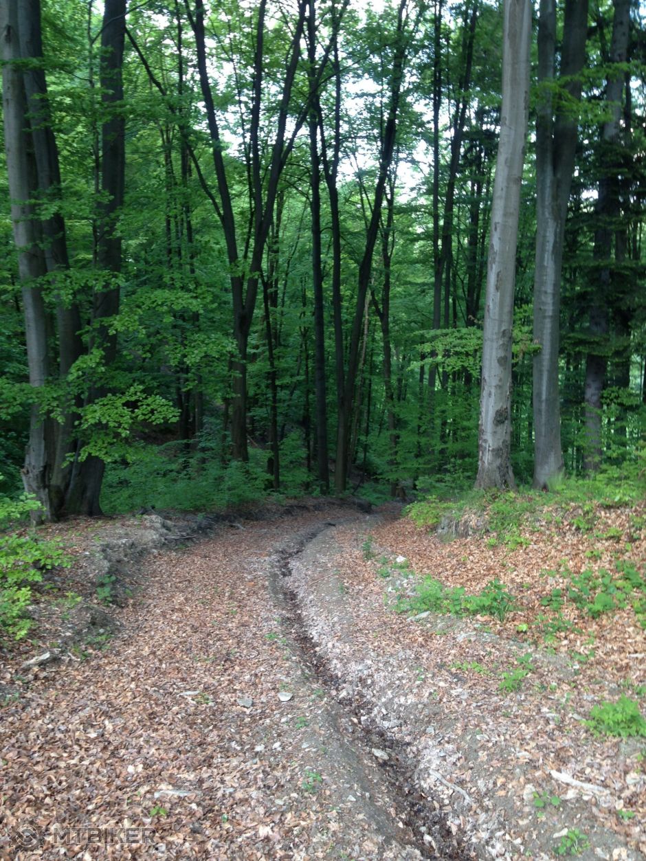 2014-05-01 15.03.50.jpg