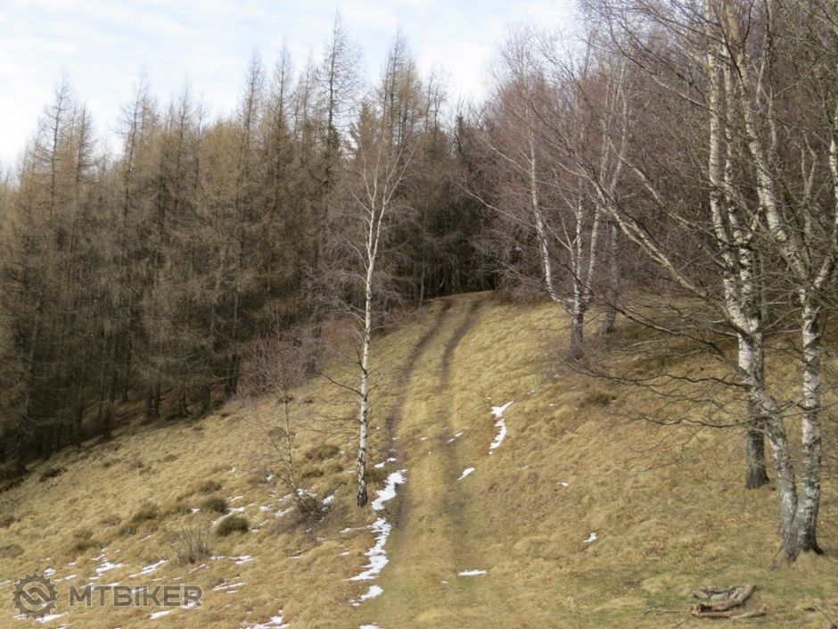 neďaleko sedly Lysina.jpg