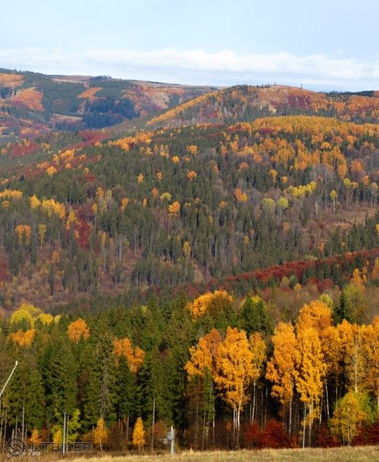 bandicam 2015-11-07 19-39-56-890.jpg