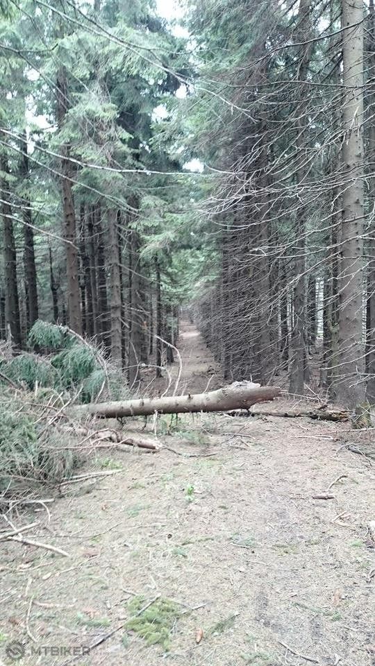 Cesta na Hnilickú Kýčeru.jpg