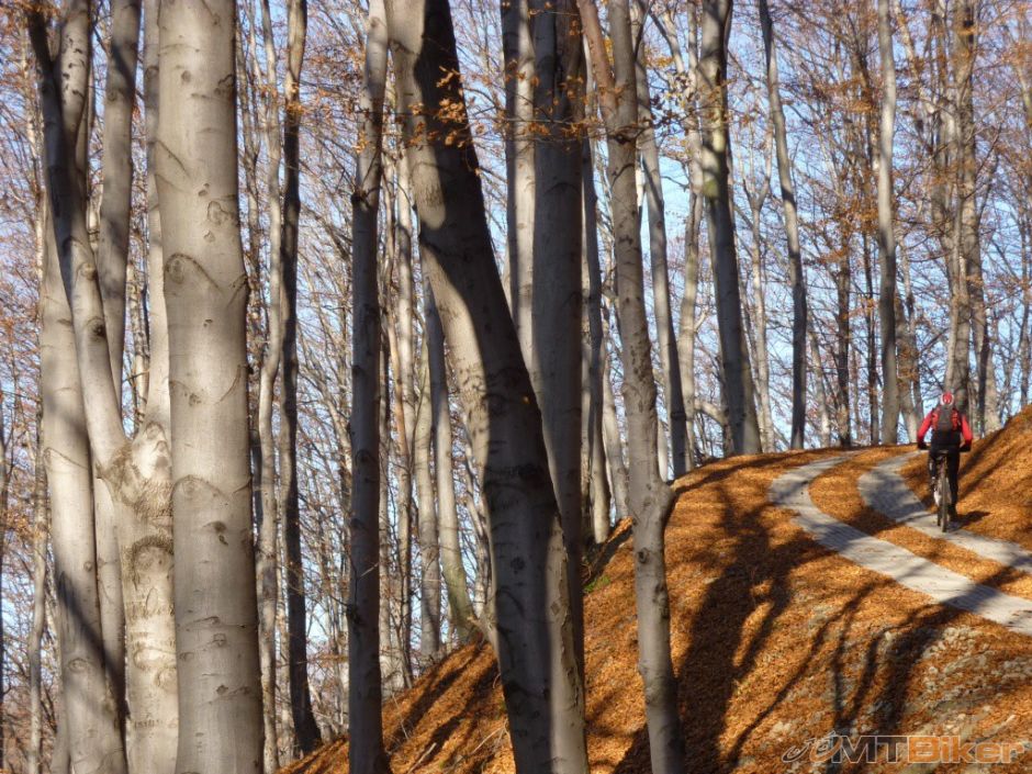 P1080781 – kopie.JPG