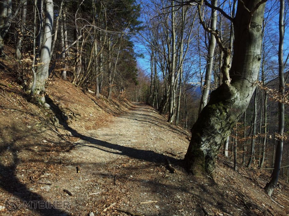 Zaborie,Maziarky,Jas.dolina 8.3 2014 (10).jpg