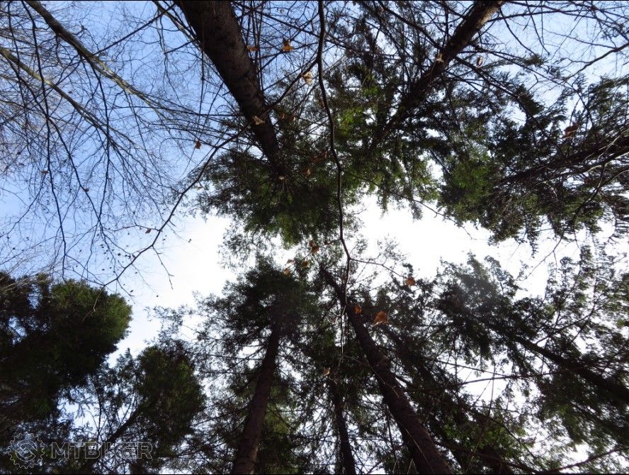 bandicam 2016-03-24 13-20-25-687.jpg