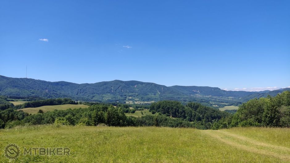 IMG_20220612_140007 (1).jpg