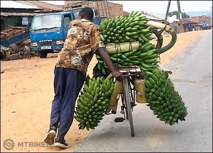 africa-bike-pic.jpg