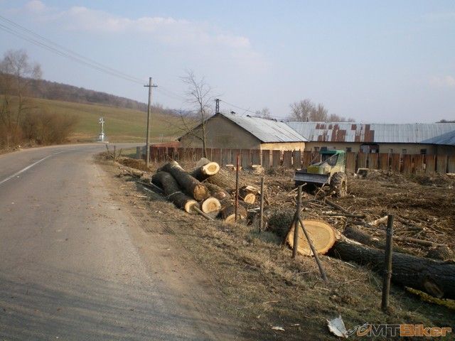 71.rokytovce..uz je zrezany..rano ked som isiel hore tak sa nan rychtovali.jpg