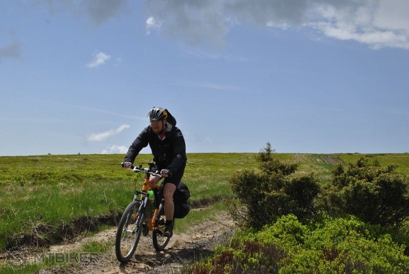 _DSC0390 (800x536).jpg