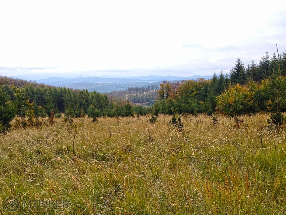 2015-10-18 14.12.26-1200u.jpg