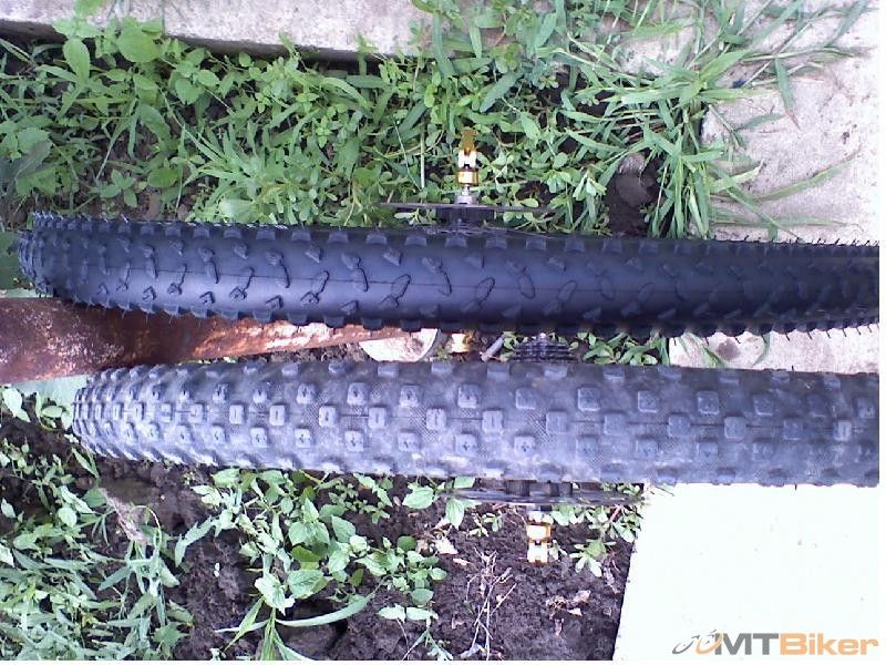 1. Karma 2in vs. Barro Race 2in.JPG