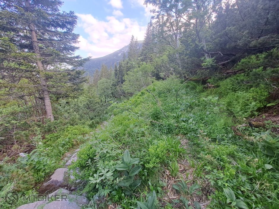 2023-06-25 17.07.22.jpg