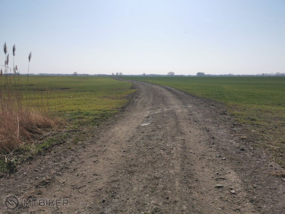 FOTO 20220328 (10).jpg