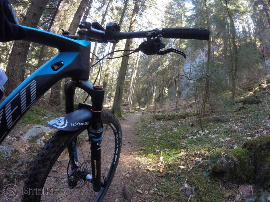 Stump a zelená TZ.jpg