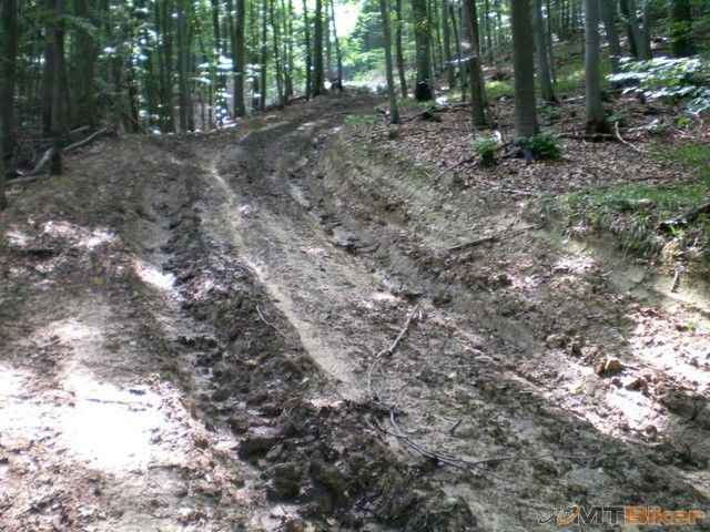 5.tu uz sem tam presmykne..musim nahadzat vsetko co mam ..obcas znova nasadnut a znovu to rozbehnut pomaly.jpg