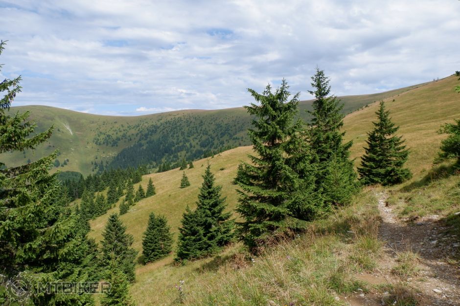 20190811_14-36-52_1-400 sec at f - 7,1_ISO 200_24 mm_VF0207.jpg