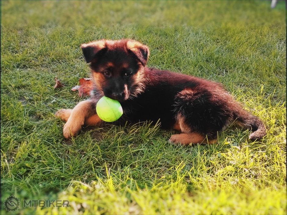 WP_20141031_007 (2).jpg