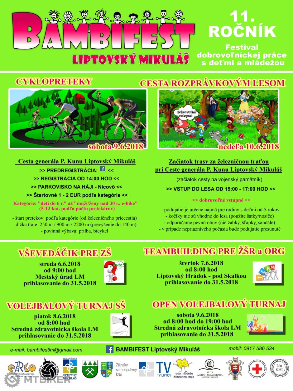 bambifest plagát 2018.jpg