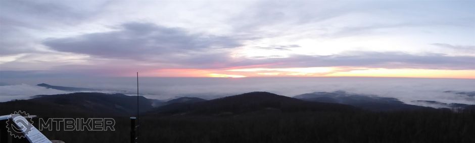 P1010219 (Large).JPG