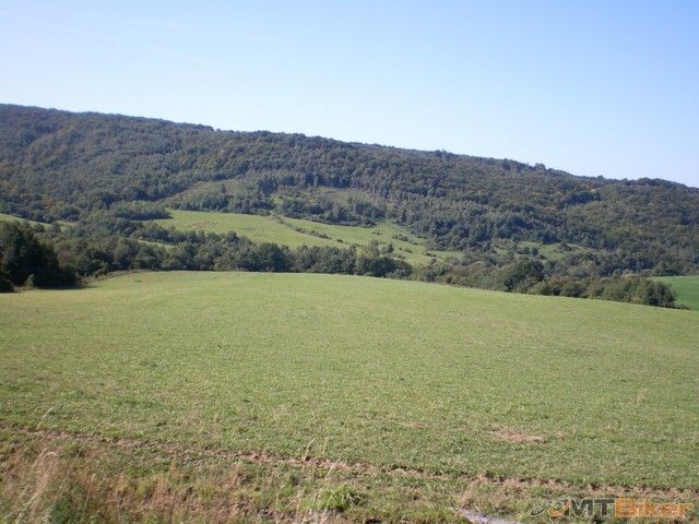 4.nudim sa ide sa slimacim tempom tak aspon fotim zeleninu...jpg