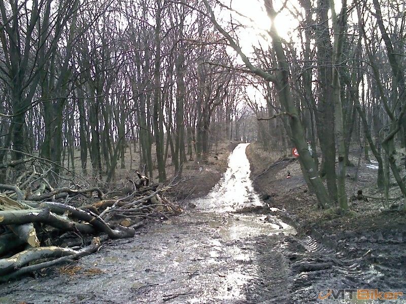 hurá na prechádzku.jpg