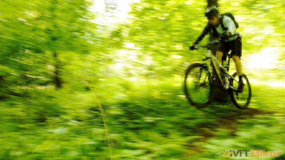 P1170730 (1024x577).jpg