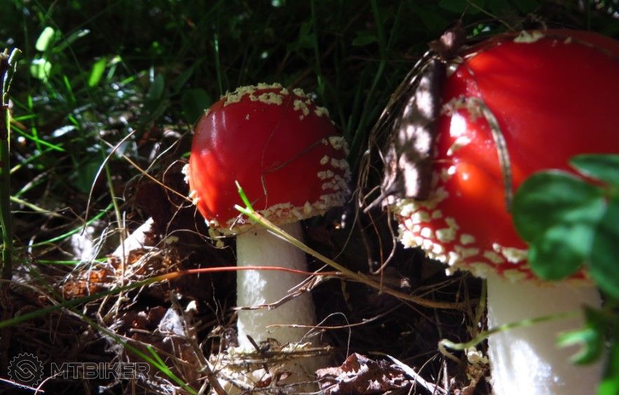 bandicam 2016-08-27 21-15-50-828.jpg