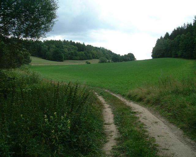 003_tadeto som po cervenej prisiel_Zajecice.JPG