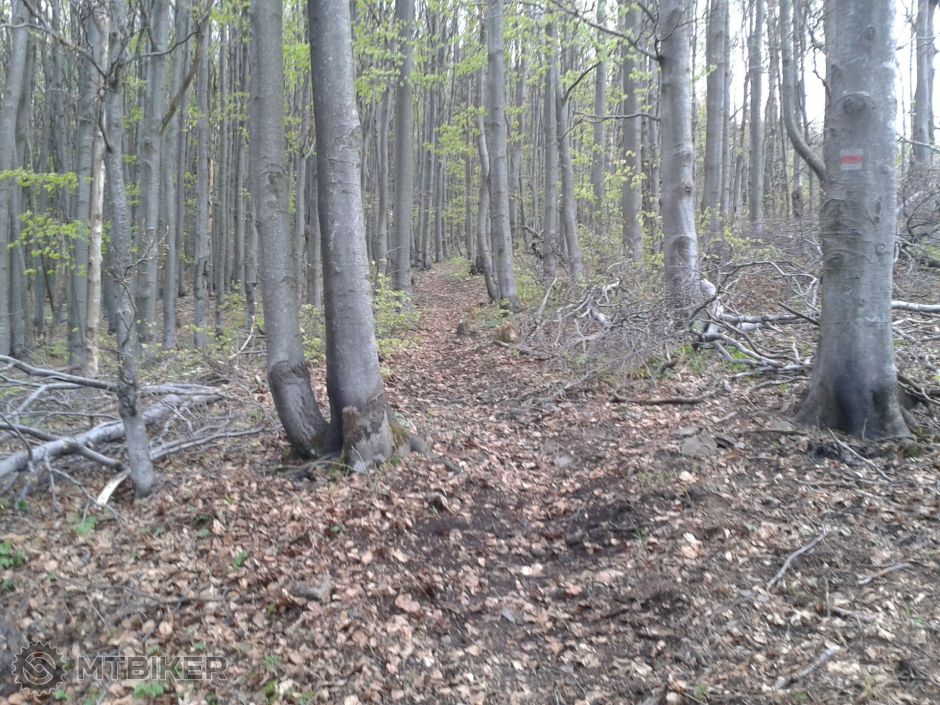 2015-05-13 18.11.14.jpg