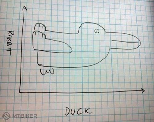 rabbit vs duck.jpg